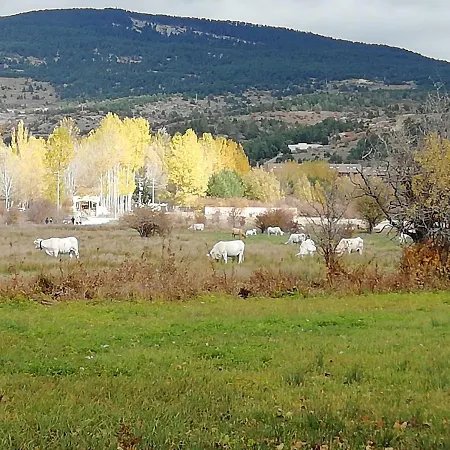 Apartament Vega Blanca